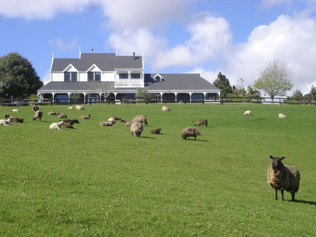 Country Homestead At Black Sheep Farm ไวปู ภายนอก รูปภาพ